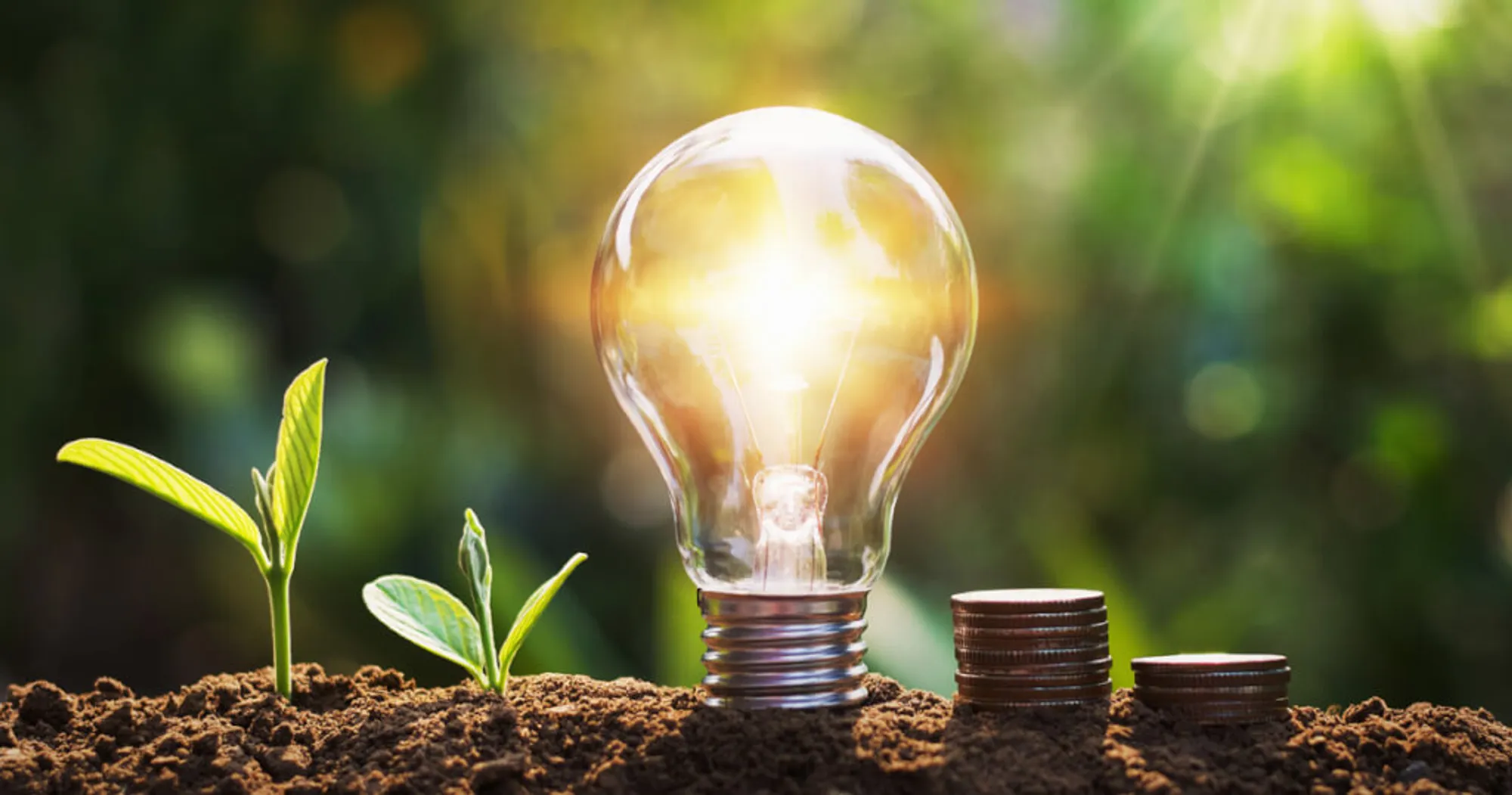 Neue Regeln für Strom- und Gaspreise ab Dezember 2025